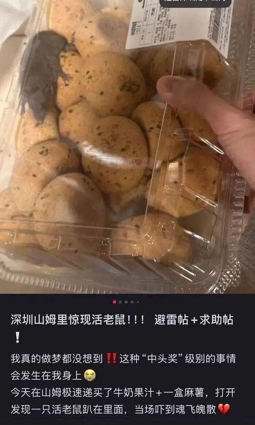 山姆會員店麻薯盒現(xiàn)活老鼠引熱議 律師指其違反食品安全法