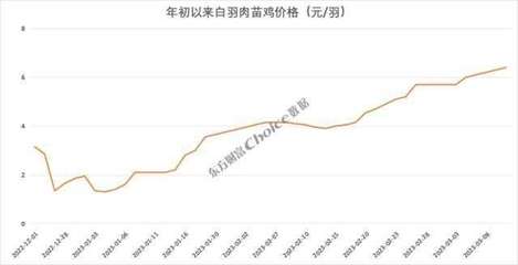價格暴漲374%，新一輪“雞周期”來了？苗雞市場異動背后的邏輯與展望